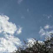 ヒメ日記 2026/04/06 14:14 投稿 高橋もも ウフフな40。ムフフな50。。（横浜ハレ系）