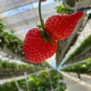 ヒメ日記 2026/04/10 00:35 投稿 高橋もも ウフフな40。ムフフな50。。（横浜ハレ系）