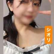ヒメ日記 2026/05/07 09:34 投稿 しおり 桜色学園