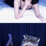 ヒメ日記 2026/04/14 22:49 投稿 ここ Blue Moon