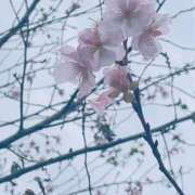 ユイ 薔薇が似合うオンナになりたい🌹 秘書室(吉原)