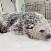 ヒメ日記 2026/04/23 18:30 投稿 ユイ 秘書室(吉原)