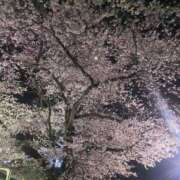 鹿目(かなめ) おはよう❣️初めまして❣️ 相模原人妻城