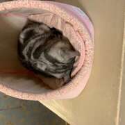 ヒメ日記 2026/05/08 16:15 投稿 唯（ゆい） VIOLET(ヴァイオレット)