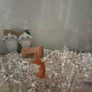 ヒメ日記 2026/06/12 05:05 投稿 唯（ゆい） VIOLET(ヴァイオレット)