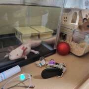 ヒメ日記 2026/06/26 15:54 投稿 唯（ゆい） VIOLET(ヴァイオレット)