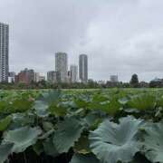 ヒメ日記 2026/09/14 06:02 投稿 唯（ゆい） VIOLET(ヴァイオレット)