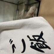 ヒメ日記 2026/10/23 05:47 投稿 唯（ゆい） VIOLET(ヴァイオレット)