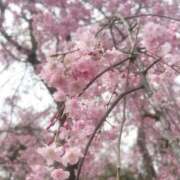 なな 今日✨️ 舐めフェチの会