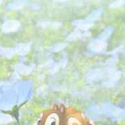 ヒメ日記 2026/04/15 15:52 投稿 もあな 熟女の風俗最終章 新宿店