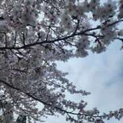 ヒメ日記 2026/04/05 15:32 投稿 もか 奥様特急　上野・鶯谷店