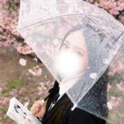 ヒメ日記 2026/04/04 09:01 投稿 るる Aromaスク水女学院