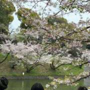 ヒメ日記 2026/04/09 15:04 投稿 みつ 白金プラチナ(ユメオト)