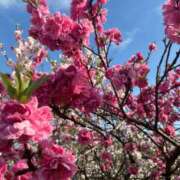 ヒメ日記 2026/04/20 17:10 投稿 みつ 白金プラチナ(ユメオト)