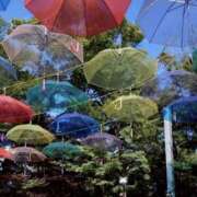 ヒメ日記 2026/04/21 10:00 投稿 みつ 白金プラチナ(ユメオト)