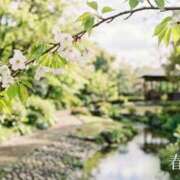 ヒメ日記 2026/04/21 15:00 投稿 みつ 白金プラチナ(ユメオト)