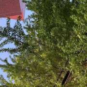 ヒメ日記 2026/04/24 11:01 投稿 みつ 白金プラチナ(ユメオト)