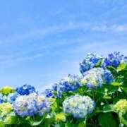 ヒメ日記 2026/05/05 15:00 投稿 みつ 白金プラチナ(ユメオト)
