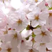 めんま めんま（エコ難波店） スピードエコ難波店