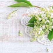 ヒメ日記 2026/04/04 17:50 投稿 杉本すずか 月の真珠-五反田-