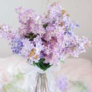 ヒメ日記 2026/04/05 19:20 投稿 杉本すずか 月の真珠-五反田-