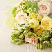 杉本すずか お礼💍 月の真珠-五反田-