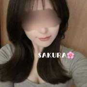 ヒメ日記 2026/04/06 12:48 投稿 さくら 男爵