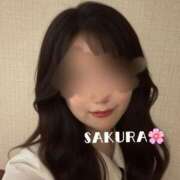 さくら なんとびっくり‼️ 男爵