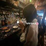 さくら 次回の予約🐶 男爵