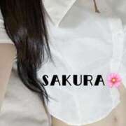 ヒメ日記 2026/04/20 00:03 投稿 さくら 男爵