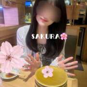 ヒメ日記 2026/04/21 12:02 投稿 さくら 男爵