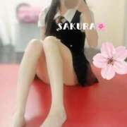 ヒメ日記 2026/04/21 23:31 投稿 さくら 男爵