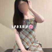 ヒメ日記 2026/07/04 00:04 投稿 さくら 男爵