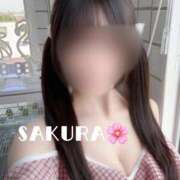 ヒメ日記 2026/07/23 22:59 投稿 さくら 男爵