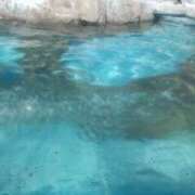 ヒメ日記 2026/04/13 18:47 投稿 もも【ピュアな清楚系天使】 STELLA TOKYO－ステラトウキョウ－