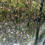 ヒメ日記 2026/04/13 20:48 投稿 もも【ピュアな清楚系天使】 STELLA TOKYO－ステラトウキョウ－