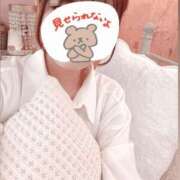 もも【ピュアな清楚系天使】 🐧🐧🐧 STELLA TOKYO－ステラトウキョウ－