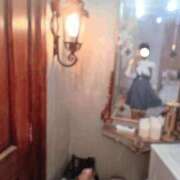 ヒメ日記 2026/04/22 03:19 投稿 もも【ピュアな清楚系天使】 STELLA TOKYO－ステラトウキョウ－