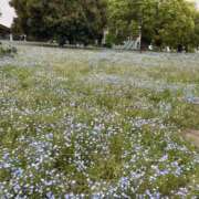 ヒメ日記 2026/04/24 12:32 投稿 もえか 錦糸町人妻セレブリティ（ユメオト）