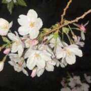 ヒメ日記 2026/04/03 18:37 投稿 ほんださき イクイクサークル鶯谷店