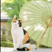 ヒメ日記 2026/06/14 15:52 投稿 こい 熟女総本店