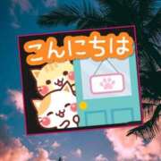 ヒメ日記 2026/06/29 13:02 投稿 こい 熟女総本店