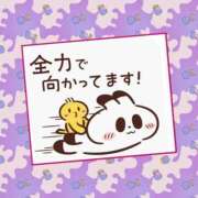 ヒメ日記 2026/07/15 14:32 投稿 こい 熟女総本店