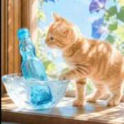 ヒメ日記 2026/08/12 07:29 投稿 こい 熟女総本店