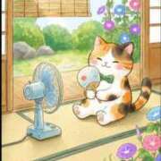 ヒメ日記 2026/08/24 14:28 投稿 こい 熟女総本店
