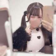 ヒメ日記 2026/04/06 14:31 投稿 ミル エピソード(品川)