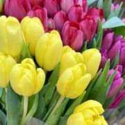 ヒメ日記 2026/04/05 07:36 投稿 久実 昼顔妻 五反田店