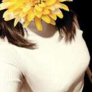 ヒメ日記 2026/04/12 09:59 投稿 久実 昼顔妻 五反田店