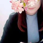 ヒメ日記 2026/04/14 09:16 投稿 久実 昼顔妻 五反田店