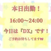ヒメ日記 2026/09/20 16:05 投稿 なずな バイオレンス